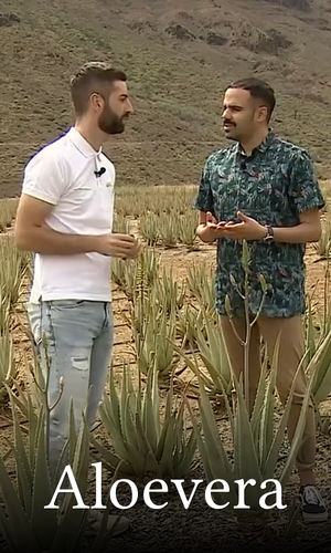 Vídeo 3